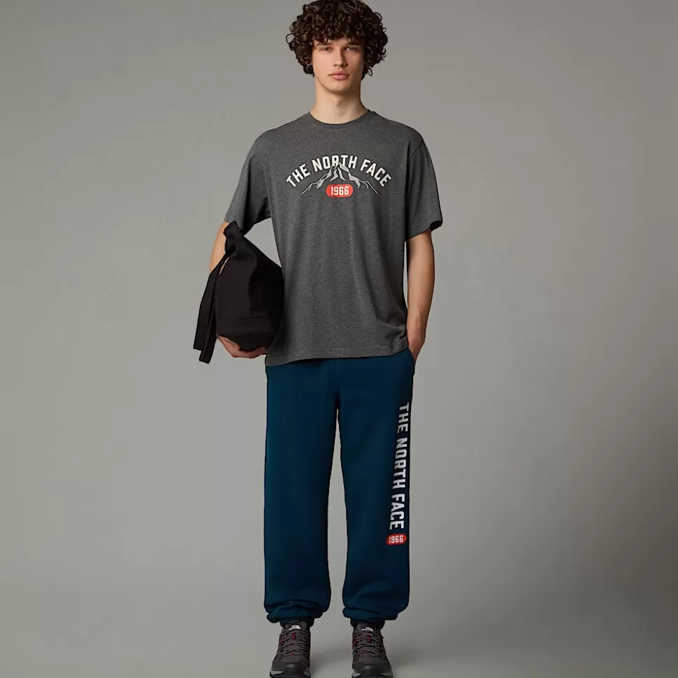 The North Face Camiseta Con Estampado Gráfico Varsity Para Hombre TNF Medium Grey Heather Sale