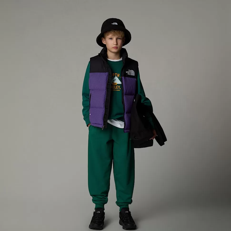 The North Face Chaleco Nuptse Retro 1996 Para Jóvenes Peak Purple-Ripstop Hot