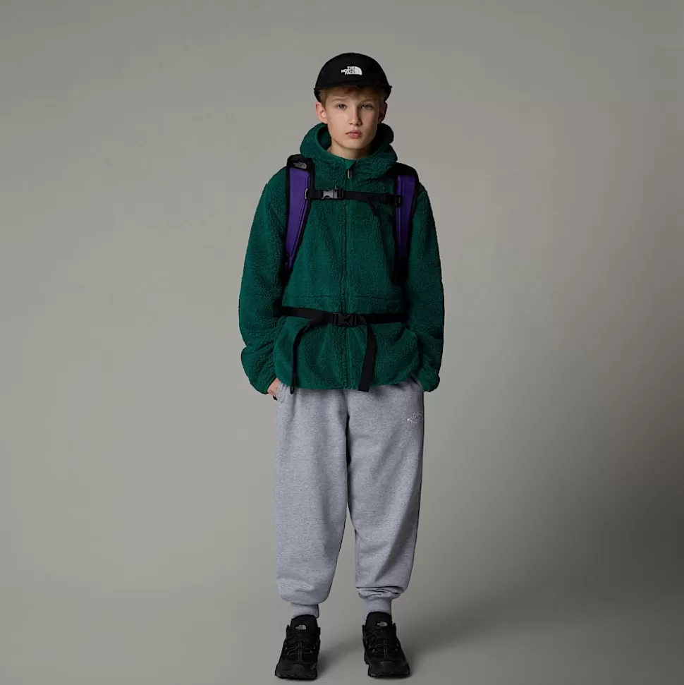 The North Face Chaqueta Con Capucha Y Cremallera Integral Campshire Para Jóvenes Evergreen Discount