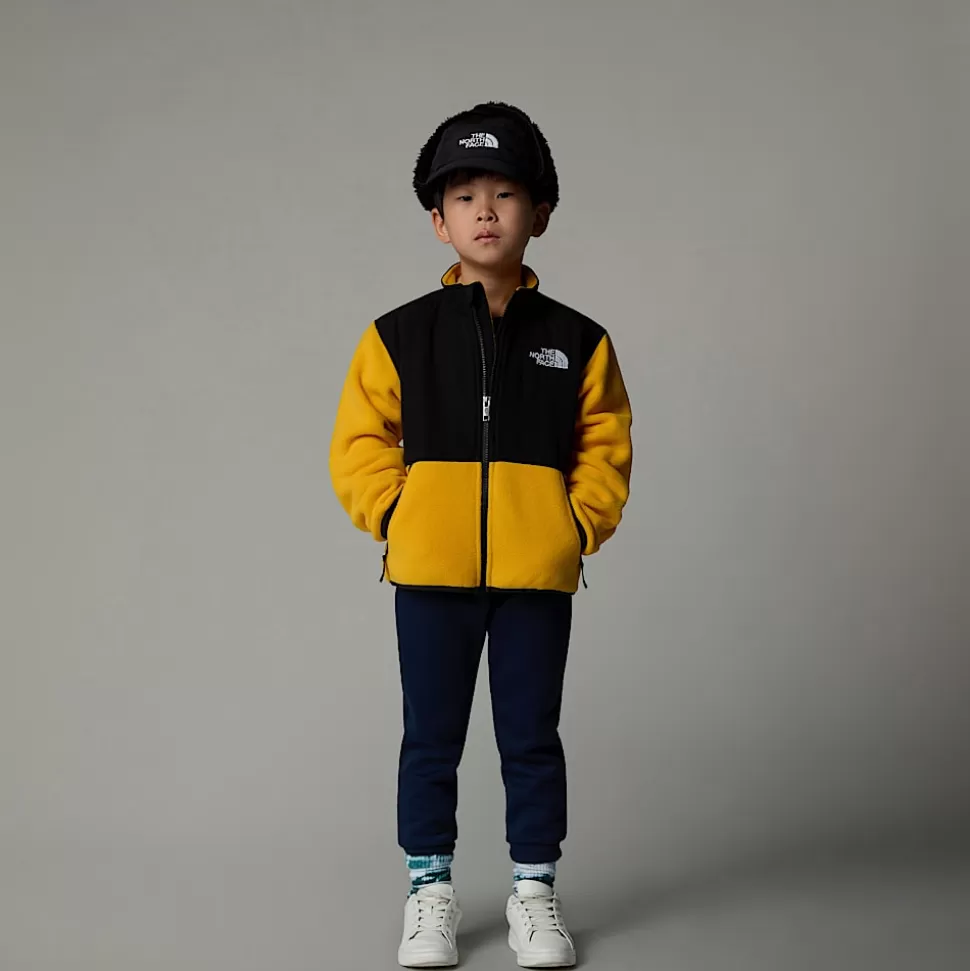 The North Face Chaqueta Denali Para Niños Summit Gold Fashion