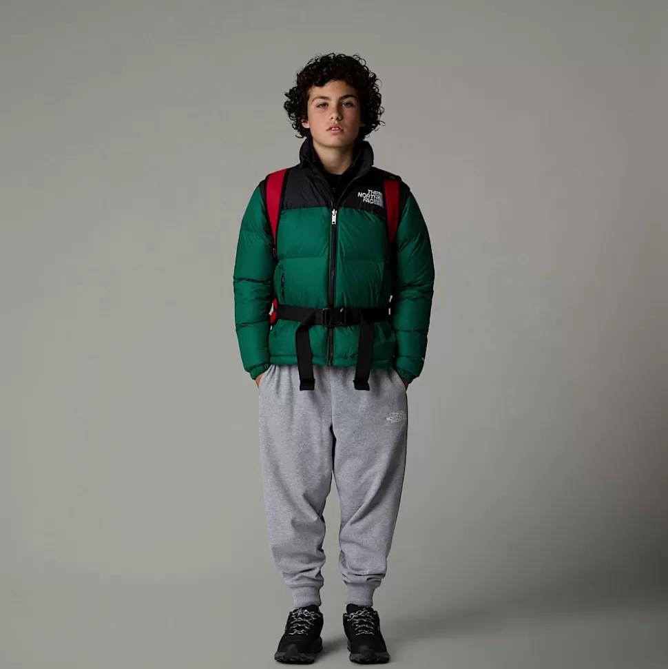 The North Face Chaqueta Nuptse 1996 Para Jóvenes Evergreen Best