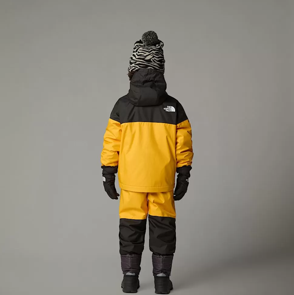 The North Face Conjunto Impermeable De Invierno Para Niños Summit Gold Flash Sale