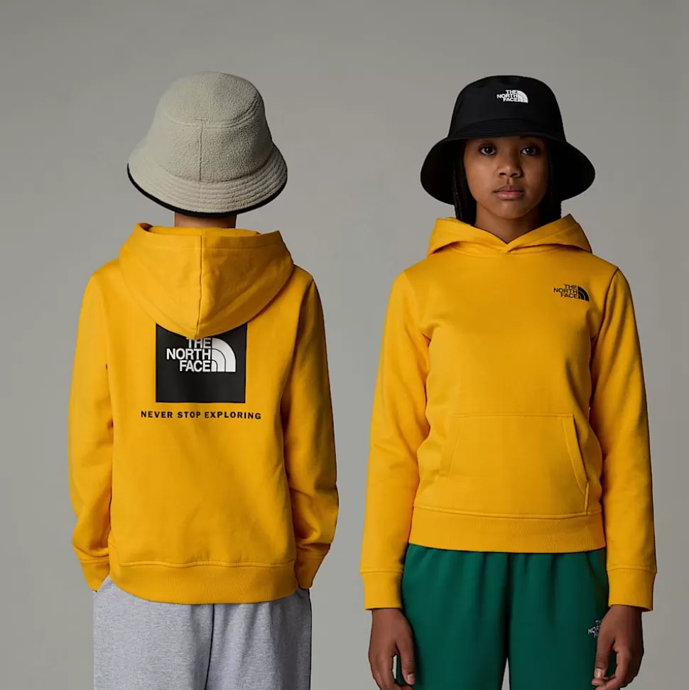 The North Face Sudadera Con Capucha Redbox Para Jóvenes Summit Gold Clearance