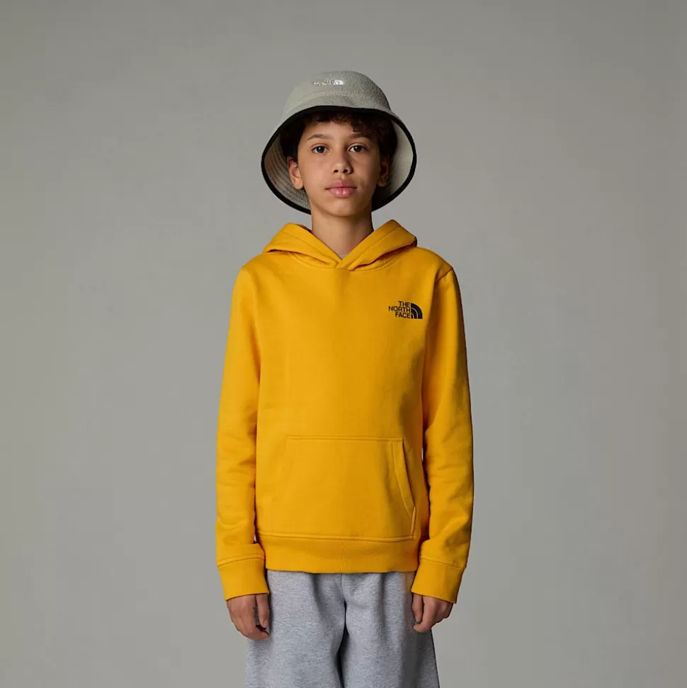 The North Face Sudadera Con Capucha Redbox Para Jóvenes Summit Gold Clearance