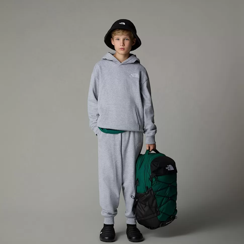The North Face Sudadera Holgada Con Capucha Essential Para Jóvenes TNF Light Grey Heather Discount
