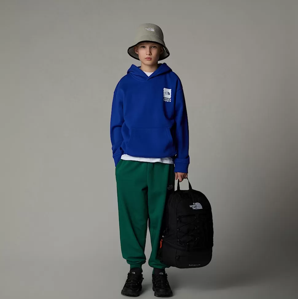 The North Face Sudadera Holgada Con Capucha Y Estampado Gráfico Coordinates Para Niño TNF Blue Shop