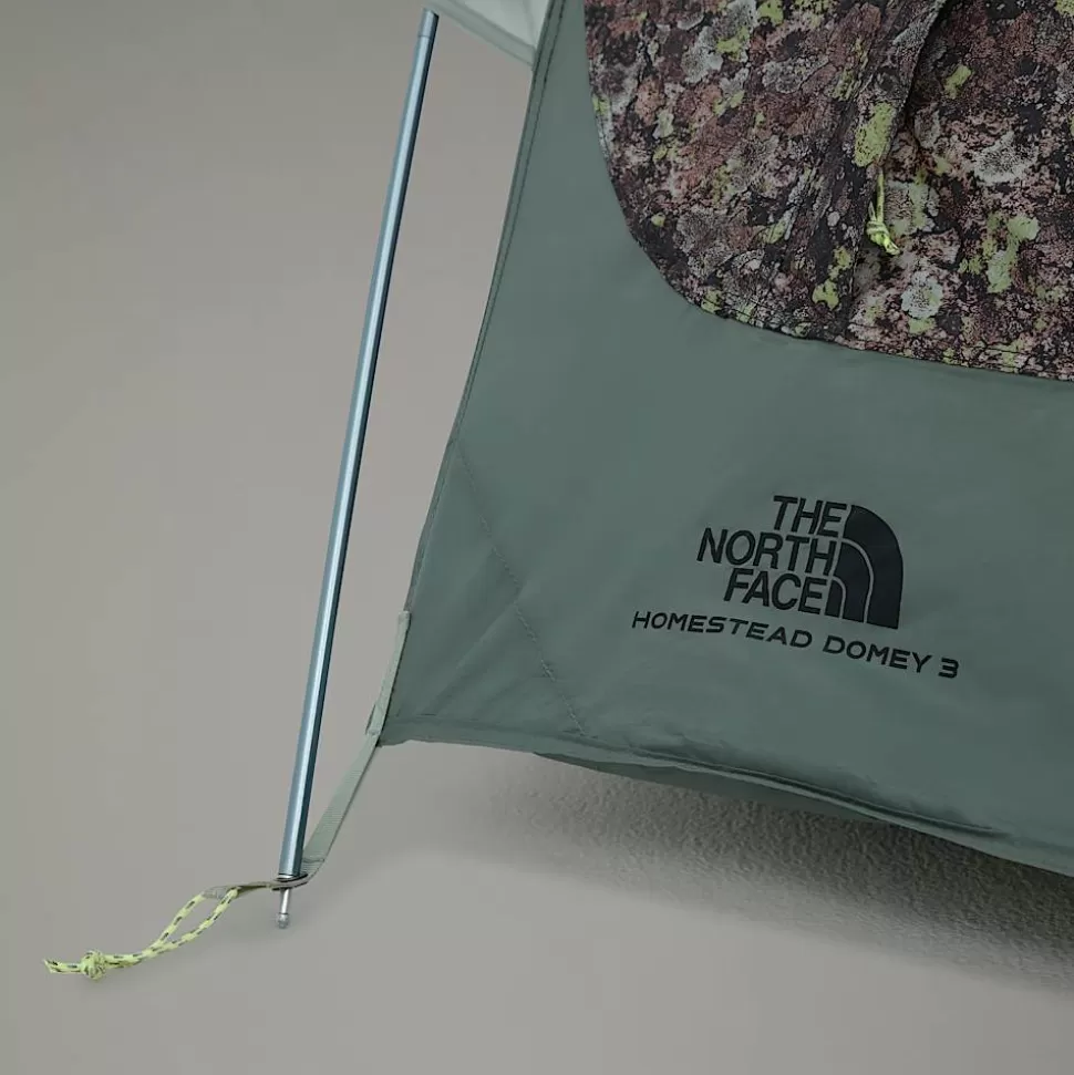 The North Face Tienda De Campaña Homestead Domey De 3 Plazas Rose Dawn Lichen LRG Print-Agave Green Outlet